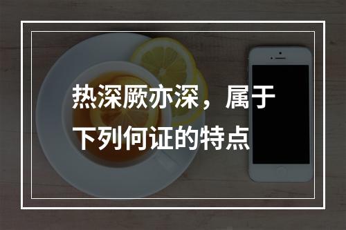 热深厥亦深，属于下列何证的特点