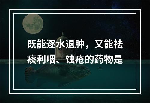 既能逐水退肿，又能祛痰利咽、蚀疮的药物是