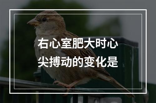 右心室肥大时心尖搏动的变化是