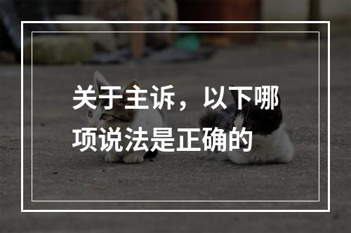 关于主诉，以下哪项说法是正确的