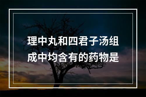 理中丸和四君子汤组成中均含有的药物是