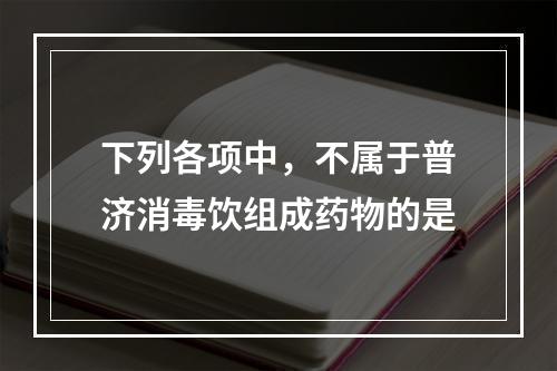 下列各项中，不属于普济消毒饮组成药物的是