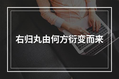 右归丸由何方衍变而来