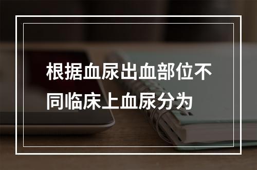 根据血尿出血部位不同临床上血尿分为