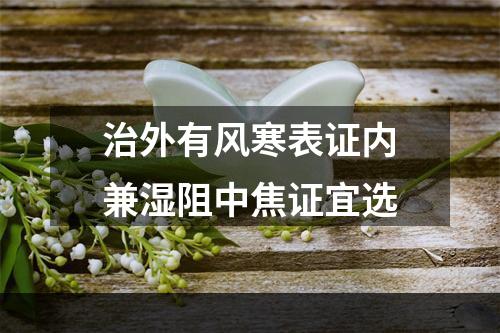 治外有风寒表证内兼湿阻中焦证宜选