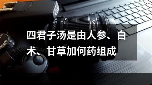 四君子汤是由人参、白术、甘草加何药组成