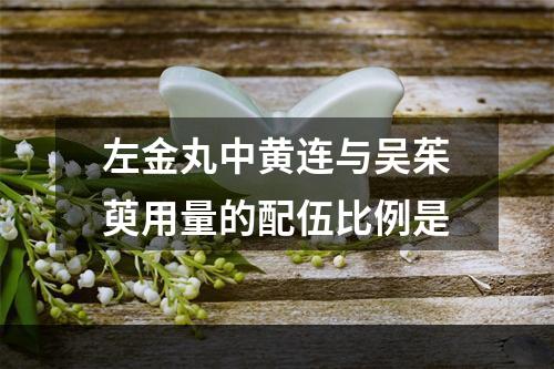 左金丸中黄连与吴茱萸用量的配伍比例是