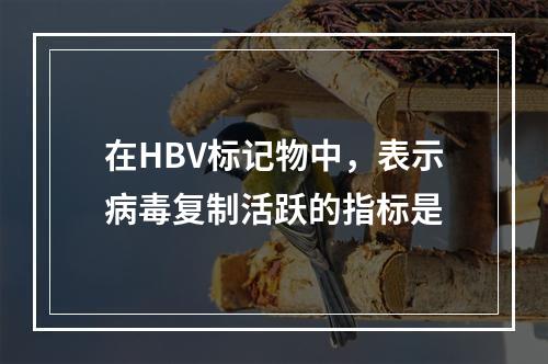 在HBV标记物中，表示病毒复制活跃的指标是