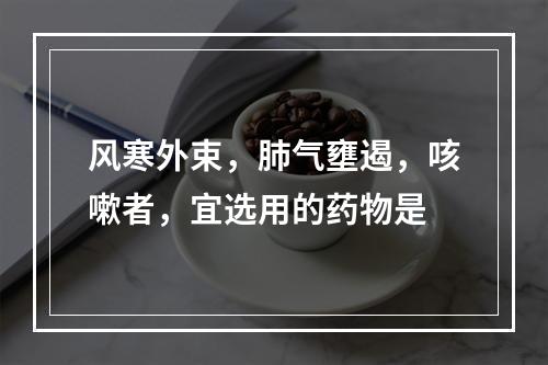 风寒外束，肺气壅遏，咳嗽者，宜选用的药物是