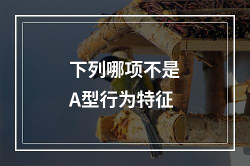 下列哪项不是A型行为特征