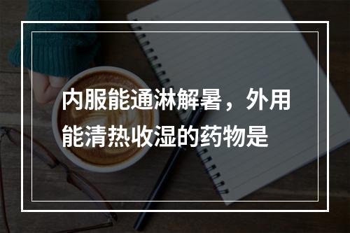 内服能通淋解暑，外用能清热收湿的药物是