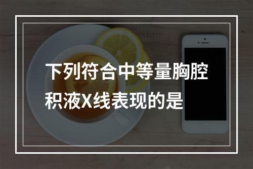 下列符合中等量胸腔积液X线表现的是