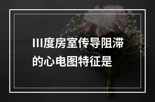 Ⅲ度房室传导阻滞的心电图特征是