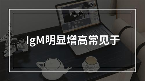 IgM明显增高常见于