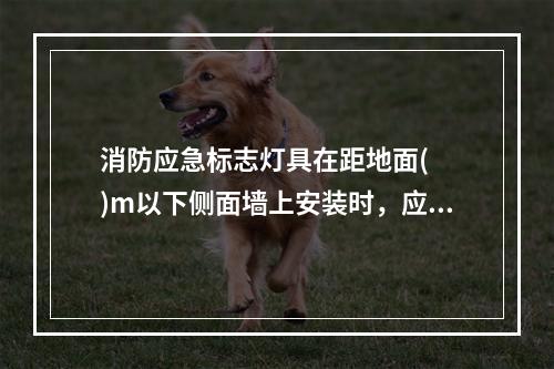 消防应急标志灯具在距地面(  )m以下侧面墙上安装时，应采用