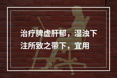 治疗脾虚肝郁，湿浊下注所致之带下，宜用