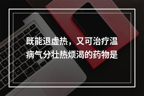 既能退虚热，又可治疗温病气分壮热烦渴的药物是