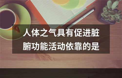 人体之气具有促进脏腑功能活动依靠的是