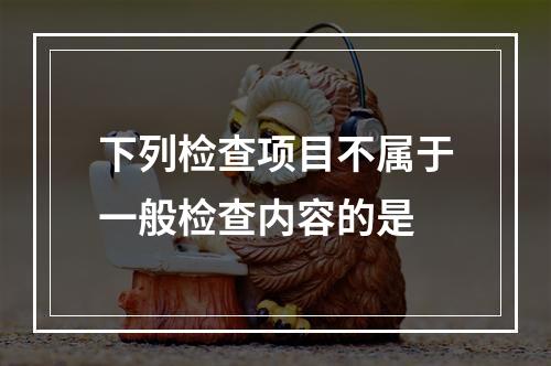 下列检查项目不属于一般检查内容的是