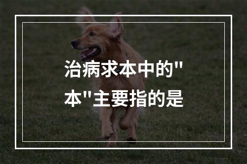 治病求本中的