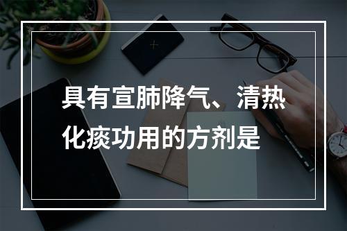 具有宣肺降气、清热化痰功用的方剂是