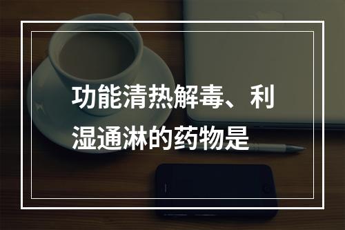 功能清热解毒、利湿通淋的药物是