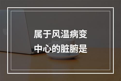 属于风温病变中心的脏腑是