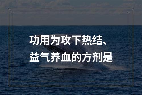 功用为攻下热结、益气养血的方剂是