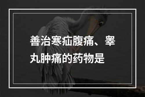 善治寒疝腹痛、睾丸肿痛的药物是