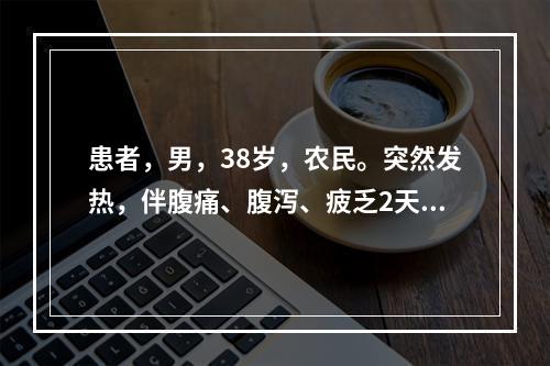 患者，男，38岁，农民。突然发热，伴腹痛、腹泻、疲乏2天，每