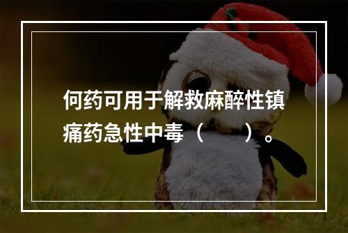 何药可用于解救麻醉性镇痛药急性中毒（　　）。