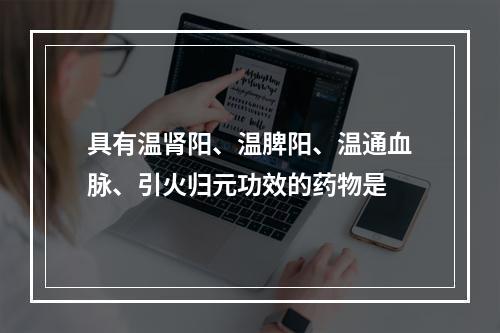 具有温肾阳、温脾阳、温通血脉、引火归元功效的药物是