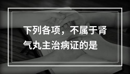 下列各项，不属于肾气丸主治病证的是