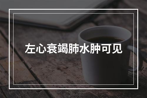 左心衰竭肺水肿可见