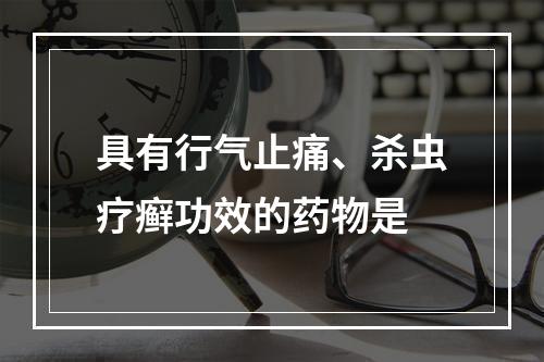 具有行气止痛、杀虫疗癣功效的药物是