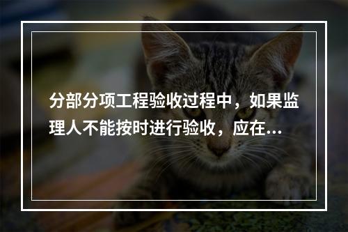 分部分项工程验收过程中，如果监理人不能按时进行验收，应在验收