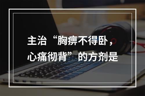 主治“胸痹不得卧，心痛彻背”的方剂是