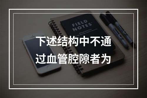 下述结构中不通过血管腔隙者为