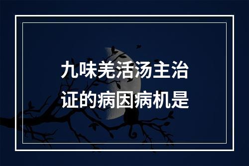 九味羌活汤主治证的病因病机是