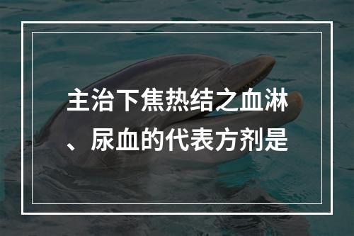 主治下焦热结之血淋、尿血的代表方剂是