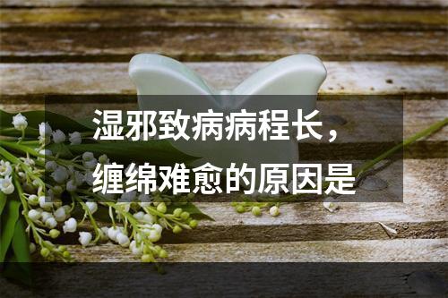 湿邪致病病程长，缠绵难愈的原因是