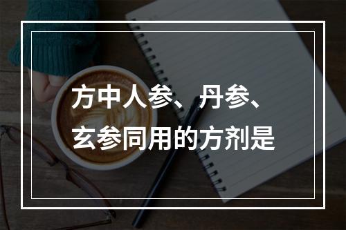 方中人参、丹参、玄参同用的方剂是