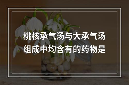 桃核承气汤与大承气汤组成中均含有的药物是