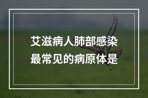 艾滋病人肺部感染最常见的病原体是