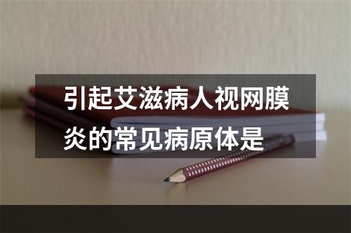 引起艾滋病人视网膜炎的常见病原体是