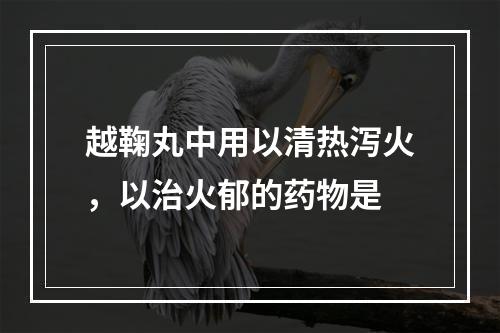 越鞠丸中用以清热泻火，以治火郁的药物是