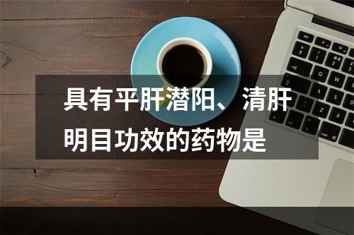 具有平肝潜阳、清肝明目功效的药物是