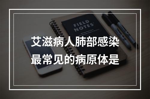 艾滋病人肺部感染最常见的病原体是