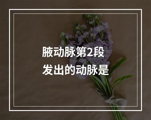 腋动脉第2段发出的动脉是