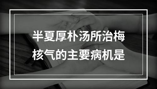 半夏厚朴汤所治梅核气的主要病机是